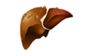 Viral Hepatitis icon