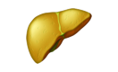 Non-Alcoholic Fatty Liver icon