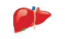 Acute Liver icon