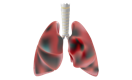 Emphysema icon