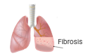 Fibrosis icon
