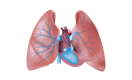 Pulmonary Hypertension icon