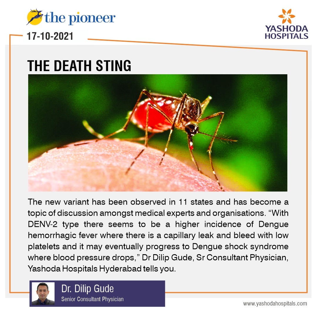 New variant found for Dengue