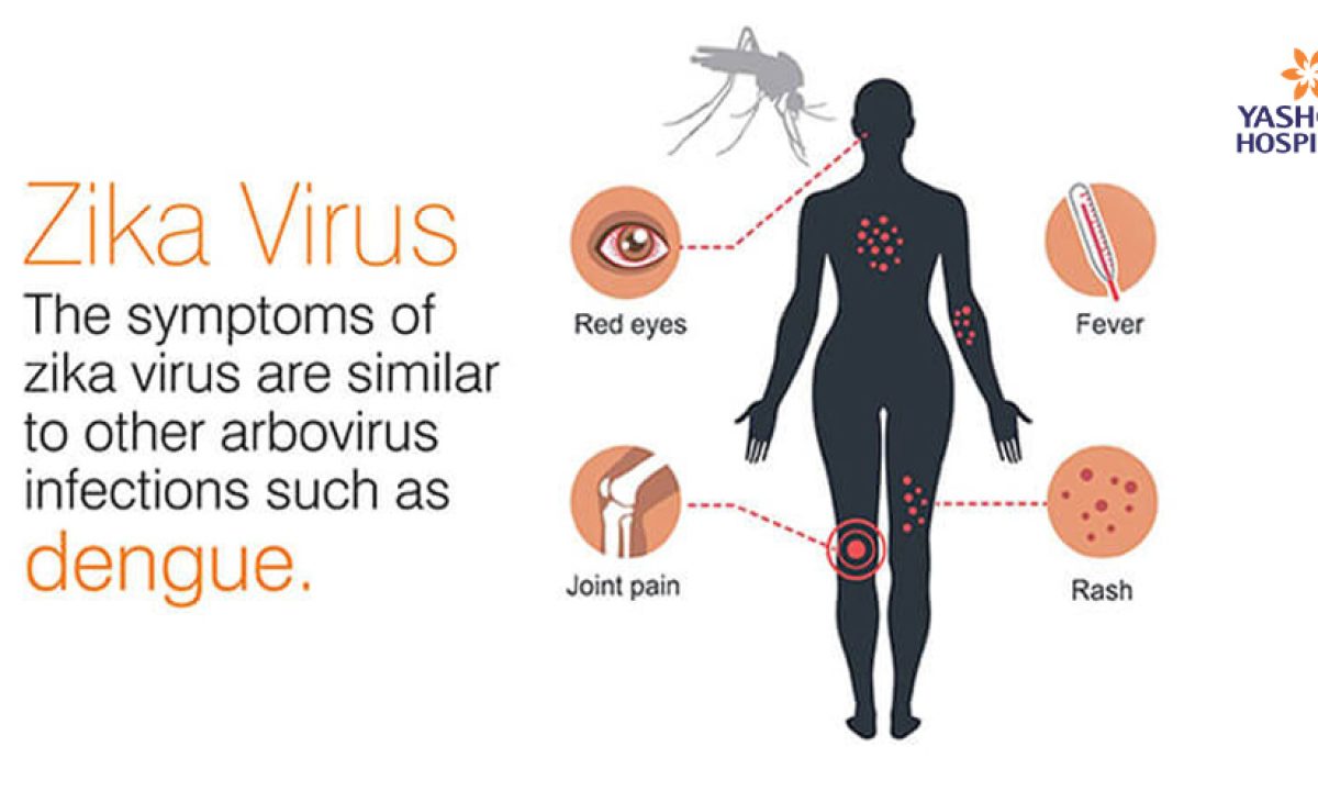 Porno toymas keksa ayollar