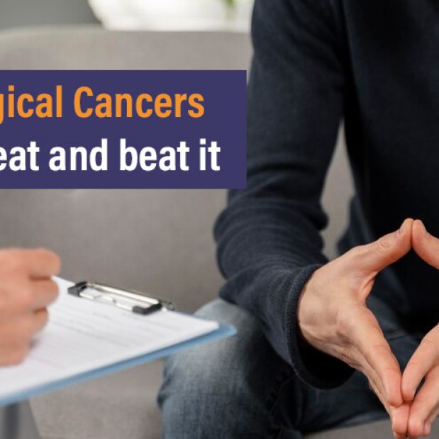 Afrika katta dumba porno