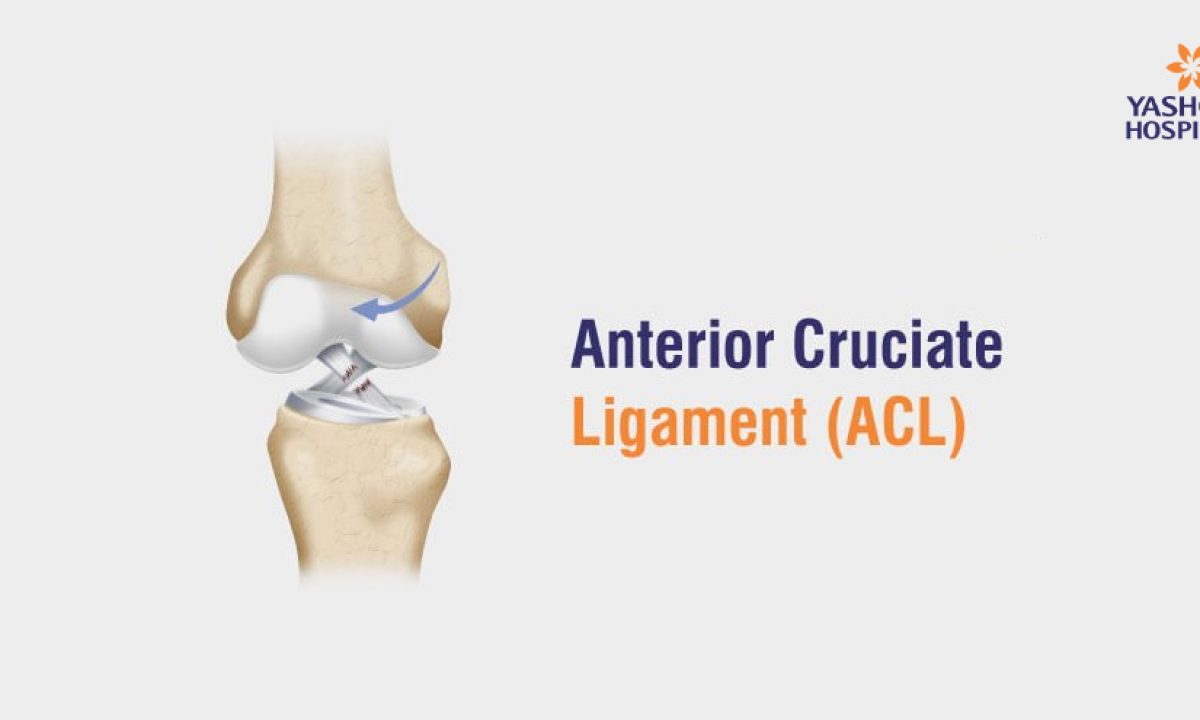 Eng yaxshi shemale porno