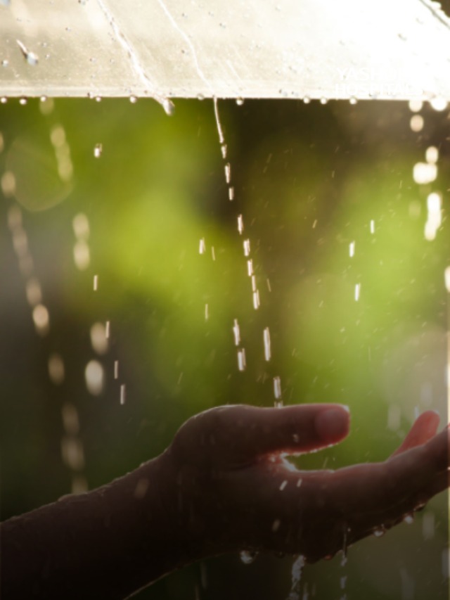 monsoon gut health slide4