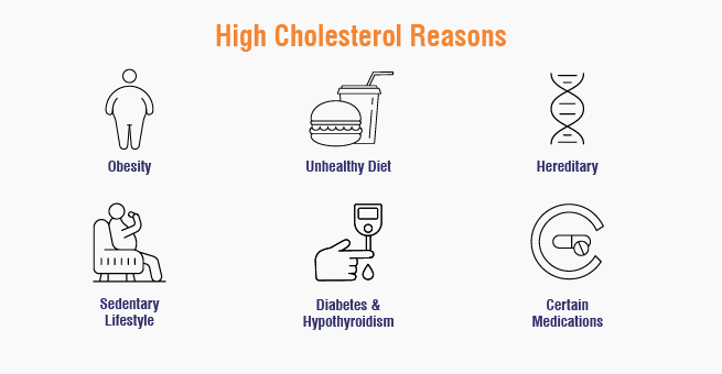 High cholestrol_Body
