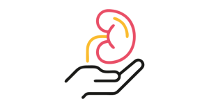 Kidney Transplantation