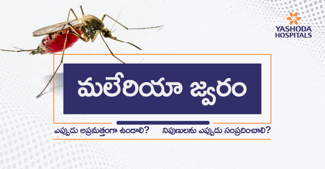 Malaria fever Main Banner