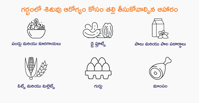 baby's-health-in-pregnancy-telugu-body 1