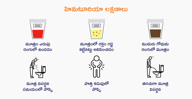 blood-in-urine-telugu-body