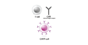 car-t-cell.