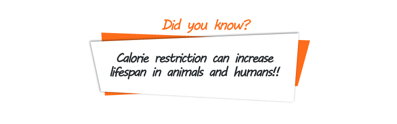 The Biology of Eating Less