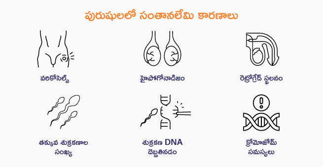 Childlessness - Telugu_Body 2 (1) (1)