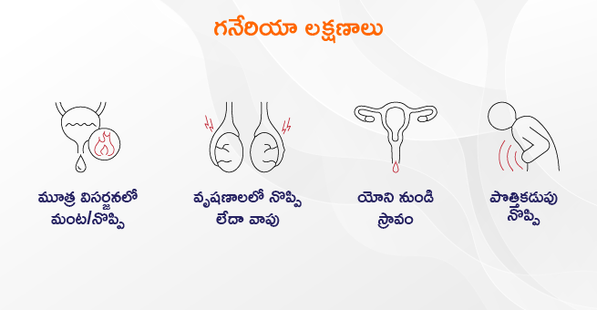 గనేరియా లక్షణాలు