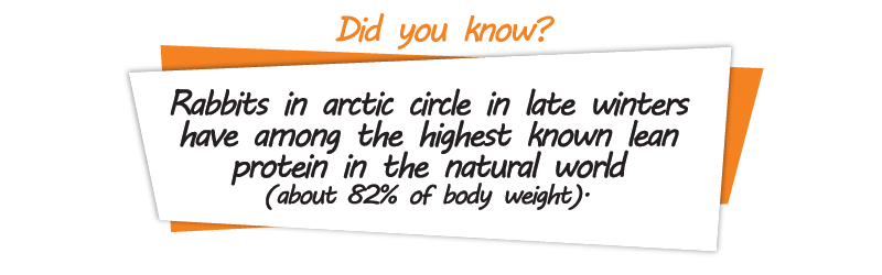 protein-be-harmful