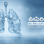 floral-effusion-main