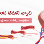 renal-artery-telugu-main