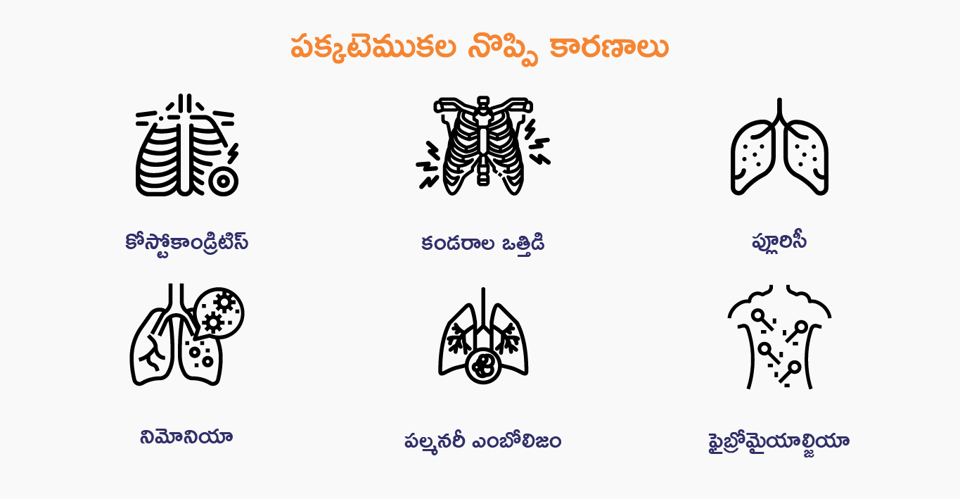 Rib pain-telugu-body-2