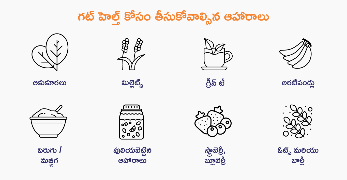 gut-health-body