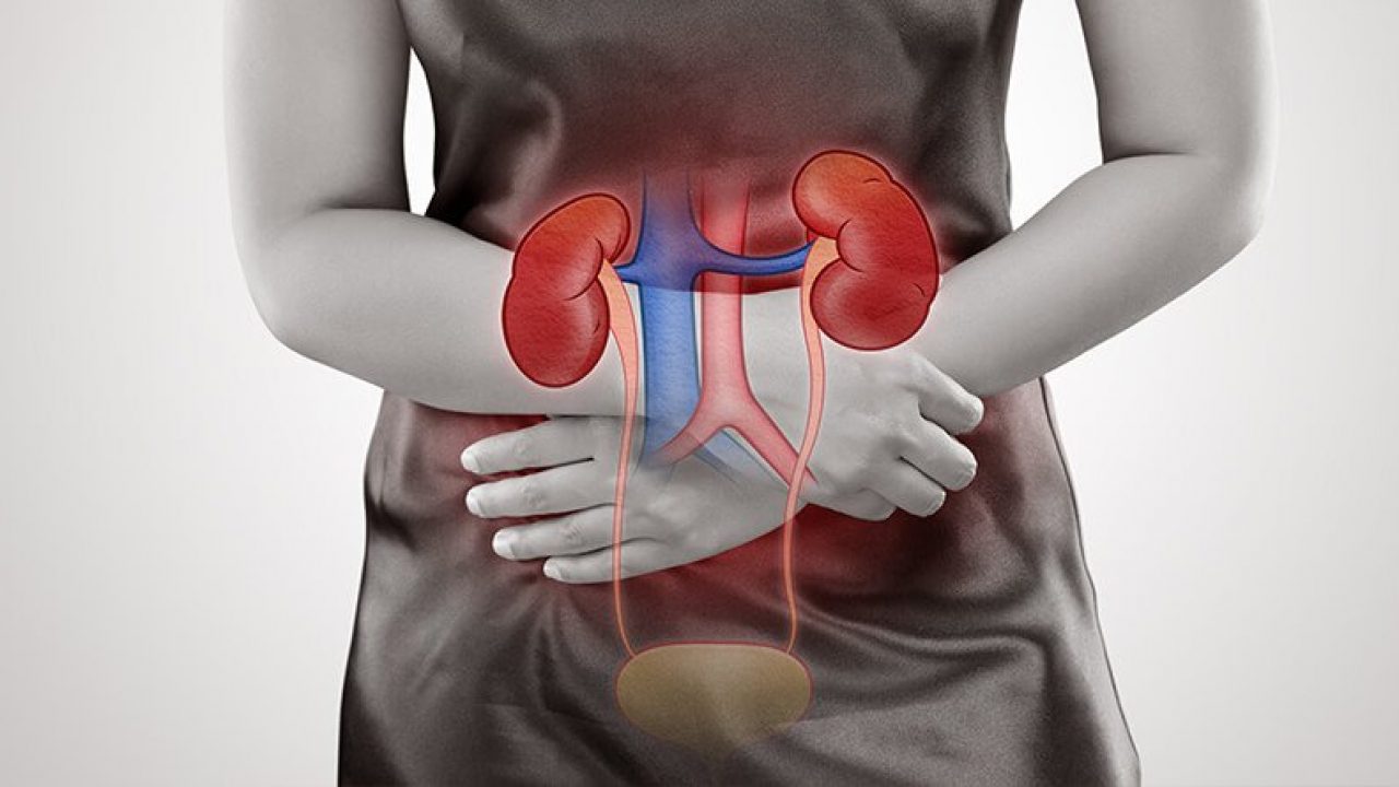 Acute kidney failure: Sypmtoms and Treatment | Fluid in your kidney