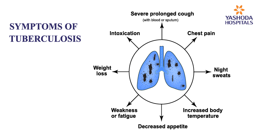 What effects does TB have on the body