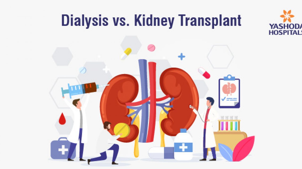 Details more than 143 kidney logo latest camera.edu.vn