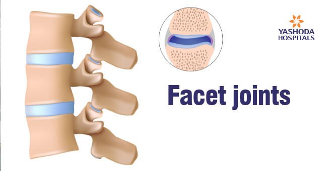 facet-joints