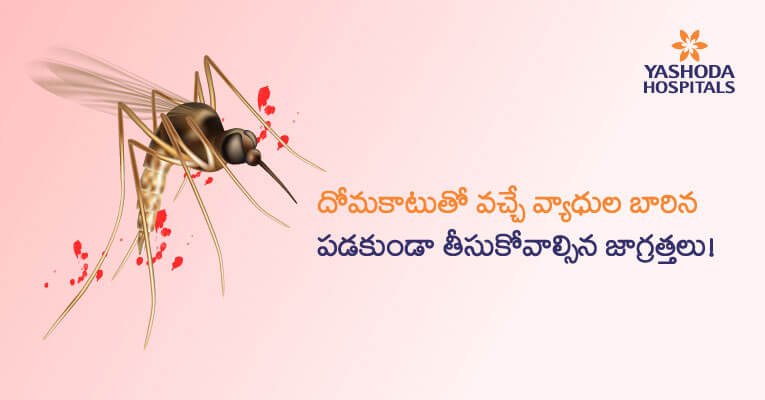 how prevent diseases from mosquitoes